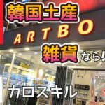 韓国旅行　お土産のおすすめ雑貨をメンズ目線で inソウル【ARTBOX】