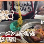 【韓国旅行】肌寒い日のラーメンから始まるチェジュ島の朝ㅣいい香りと雰囲気が素敵な小物ショップ(supul)でチェジュ島の思い出の品を購入(日韓夫婦)