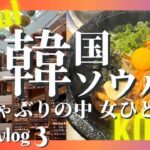 【韓国ひとり旅】ずっと大雨なんですけど☔️そんな時はスターフィールド水原へ行こう/ホテルグレースリーソウル/石焼ビビンバ/南大門カフェ/リムジンバス乗り方/地図あり