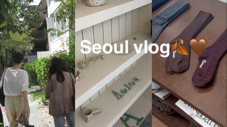 【Seoul vlog】（💛）急に秋が来た韓国🍂買い物し続けた今回の旅🛍️🚿｜漢南洞｜聖水洞｜#seoul #seoulvlog #韓国旅行vlog