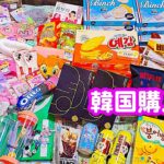 【韓国旅行】購入品紹介🇰🇷┃ロッテマート┃ダイソー┃爆買い🛍