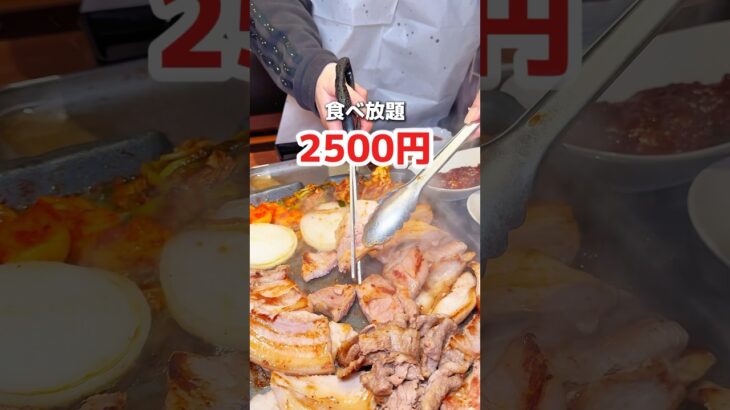 韓国料理食べ放題2500円！