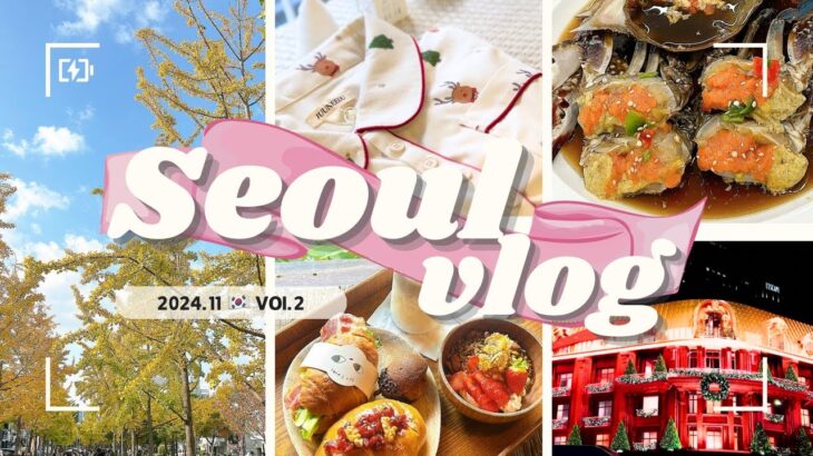 〔Vlog〕2024.11🍂 韓国🇰🇷ソウル2泊3日！Vol.2♡ 東大門日曜市￤カンジャンケジャン🦀￤クレープ👨🏼‍🦳￤延南洞🐈￤クリスマスイルミネーション🎄🎅🏻´-￤龍山ドトリ🍓