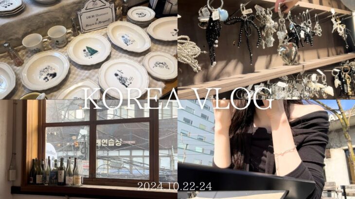 【韓国Vlog】2泊3日のソウル旅🇰🇷東大門〜ソンス/美容課金/女子旅/海外旅行初心者🔰