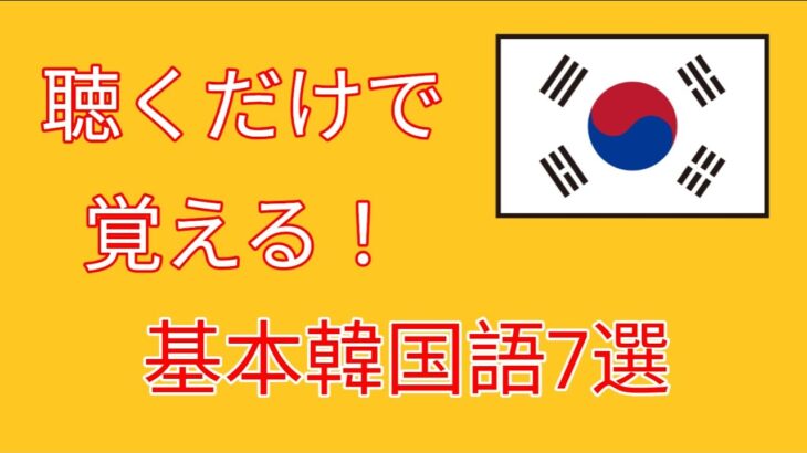 【韓国語聞き流し】旅行で使える“基本会話”フレーズ　今から始める韓国語 【旅行会話・単語・日常会話・簡単・勉強・初心者・リスニング】