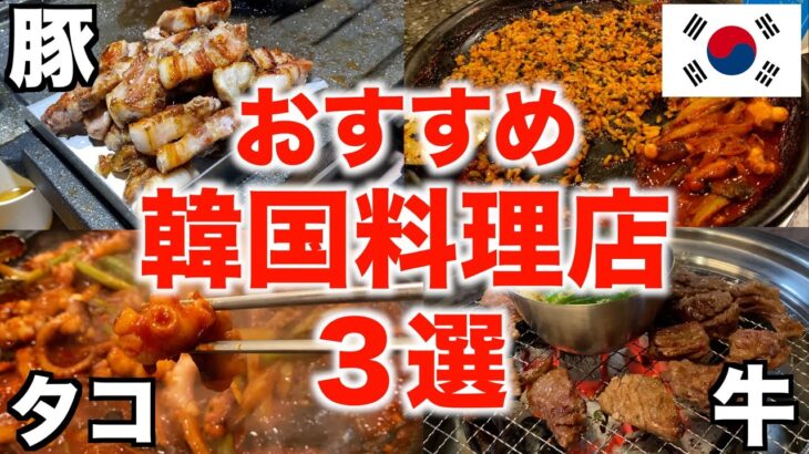 【韓国旅行🇰🇷】韓国料理おすすめなお店３選！/狎鴎亭にあるペッコドン/明洞にある新カルビ/東大門にある河南テジチッ/海鮮、ドラム缶焼肉、サムギョプサルが食べたい人おすすめです！