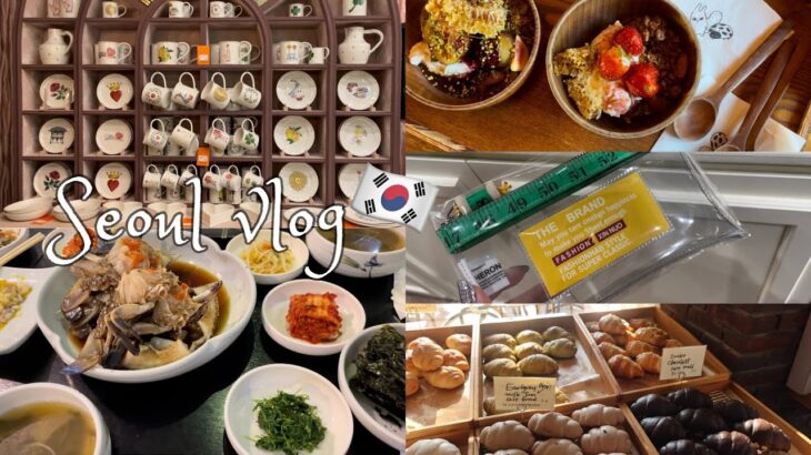 【韓国🇰🇷vlog】ソウルのグルメとお買い物  |  cafe  |  弘大  |  安国  |  聖水