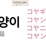 ‘고양이(猫)’の正しい発音は？