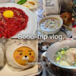 韓国旅行vlog | Peach深夜便で行く2泊3日旅🇰🇷 | KAKAO FRIENDS ちいかわコラボ | タッカンマリ | 韓国カフェ | korea trip vlog |