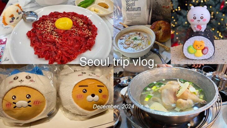 韓国旅行vlog | Peach深夜便で行く2泊3日旅🇰🇷 | KAKAO FRIENDS ちいかわコラボ | タッカンマリ | 韓国カフェ | korea trip vlog |