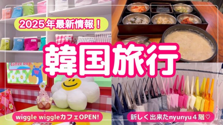 韓国ひとり旅🇰🇷明洞最新情報!nyunyu4階OPEN🛍️WIGGLEWIGGLEカフェもOPEN♡駅近ホテル