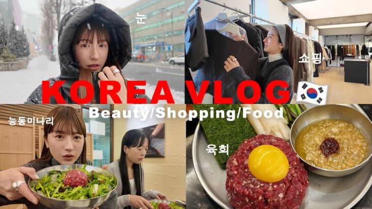 【韓国Vlog】美容ケア💆‍♀️→ショッピング🛍️→絶品グルメ🍽️充実の3日間！