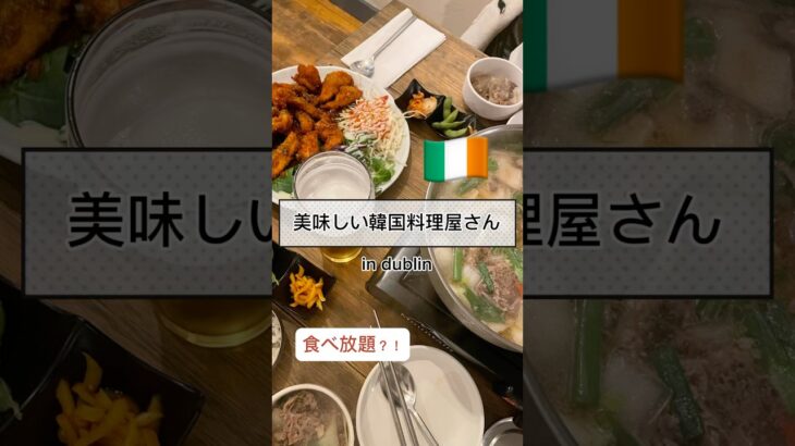 🇮🇪🇮🇪🇮🇪アイルランドワーホリの日常〜おすすめ韓国料理編〜#アイルランドワーホリ #アイルランド