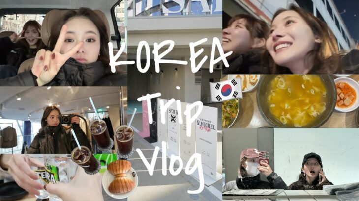 【韓国Vlog】マイペースな私達の旅記録🇰🇷❣️安定の美容グッズ爆買いとだいすきなローカルフードで楽しむ😮‍💨❤️‍🔥