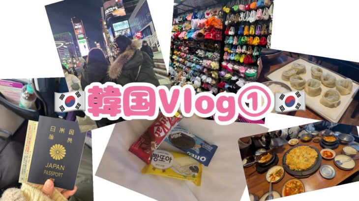 韓国Vlog/渡韓/韓国旅行/vlog