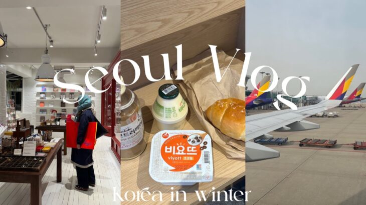 【韓国 vlog】🇰🇷冬のソウル☃️アシアナ航空で行く冬の韓国・グルメ・明洞ご飯屋・韓国ホテル・ショッピング