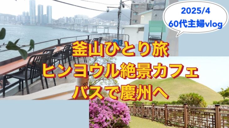 【釜山女ひとり旅】GW最新 ヒンヨウル絶景カフェ /慶州へバスで日帰り