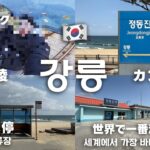 Travel VLOG 韓国カンヌン（２日目）BTSのジャケット画像に使われたセットのバス停。世界で一番海に近い駅としてギネス認定された「正東津駅」で海沿いのレールバイクを体験！