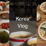 [vlog]ど素人の韓国旅行