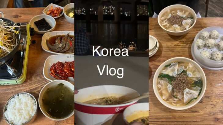 [vlog]ど素人の韓国旅行