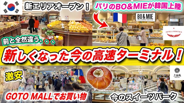 【韓国旅行2025】高速ターミナルの最新スポット❗️GOTOモールで買い物｜新世界のデパ地下｜スイーツパークのオススメ🇰🇷 行列の塩パン、フランスで一番大きなパン屋が新世界百貨店にオープン
