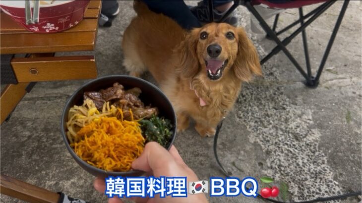 【チェリーきゃんぷ🍒】韓国料理🇰🇷BBQ🍒