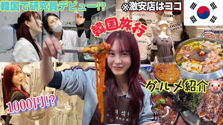 【VLOG】2泊３日詰め込み韓国旅🇰🇷激安エリアで爆買い❤️‍🔥おすすめのご飯屋さんも紹介したよ🍴