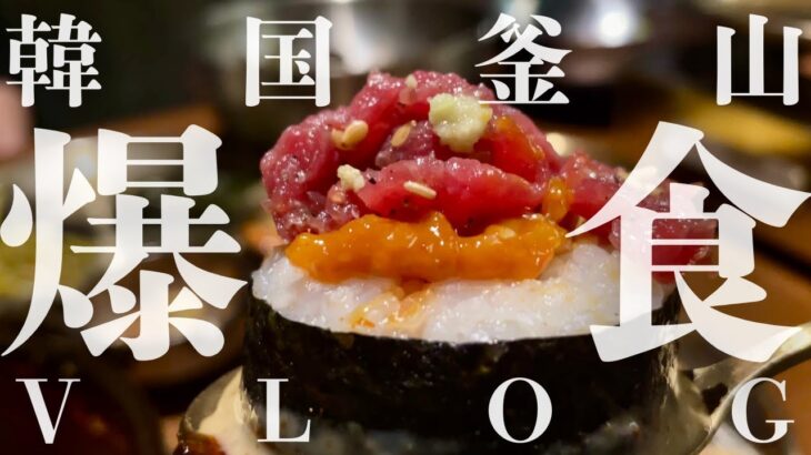 【韓国🇰🇷釜山爆食Vlog前編】実はソウルよりオススメ！？釜山食べ歩き旅