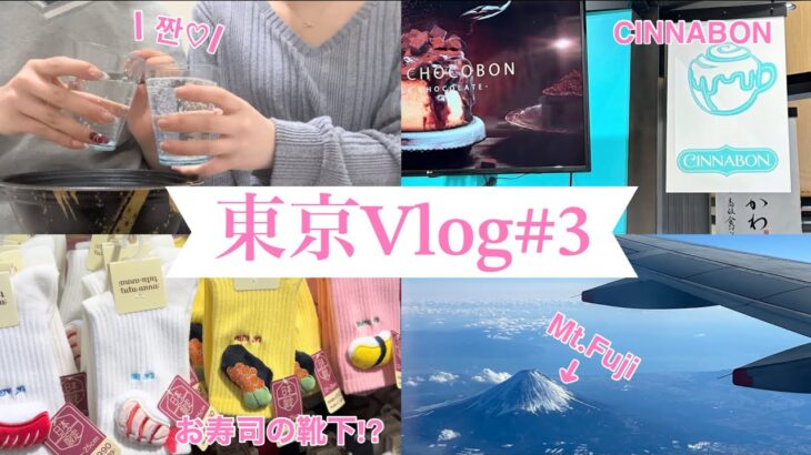 東京Vlog#3 おうちで韓国料理食べながらのお二人さんのおしゃべりが一番幸せかも♡♡