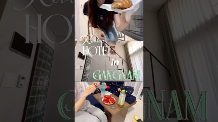 江南で泊まったホテル🏨♡住んでるような気持ちになって楽しかった💕#カンナム#江南ホテル#韓国旅行#韓国ホテル#gangnam #seoul#seoulvlog#韓国vlog#koreavlog