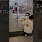 【前編】🇰🇷釜山センタムシティで遊んで、ホカンス🇰🇷した日のブイログ