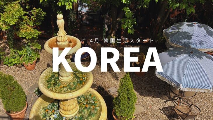 【韓国vlog】韓国で生活し始めたソウルに行かない数日間のできごと🇰🇷 | おしゃれカフェ| ローカルご飯 | 韓国ドライブ｜おすすめ公園