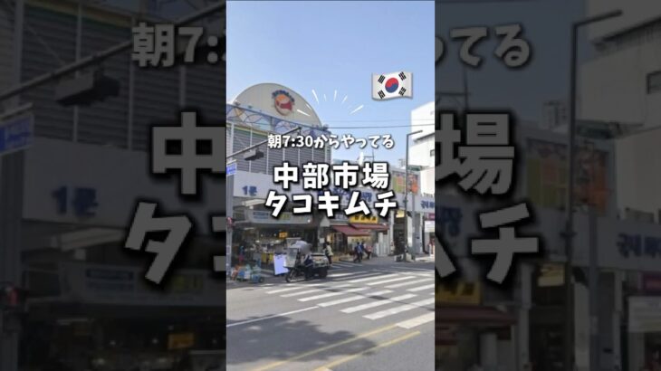 【韓国旅行】中部市場のタコキムチ #韓国vlog #shorts