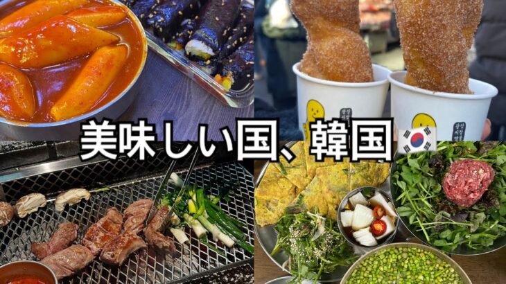 韓国🇰🇷美味しいご飯まとめvlog #韓国旅行 #韓国グルメ #食べ歩き #広蔵市場 #vlog