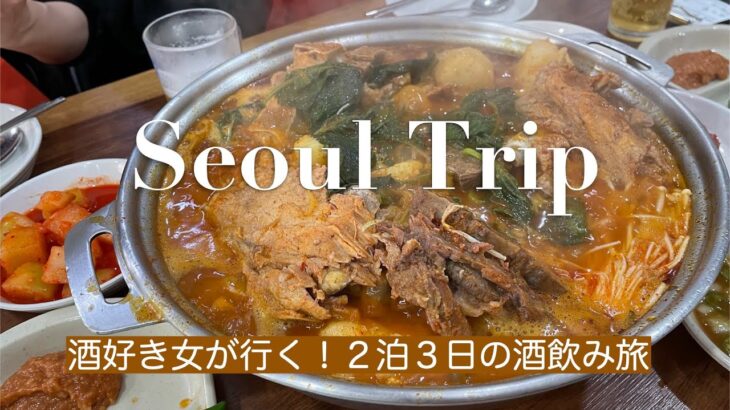 【韓国旅行vlog🇰🇷🍻】酒好き女が行く韓国旅行記録2025年冬