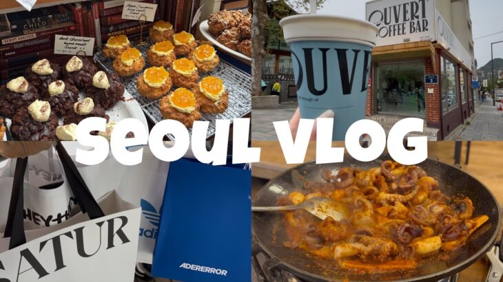 【韓国vlog】2泊3日の韓国旅行🇰🇷韓国カフェ・グルメ /shopping/聖水 安国 景福宮
