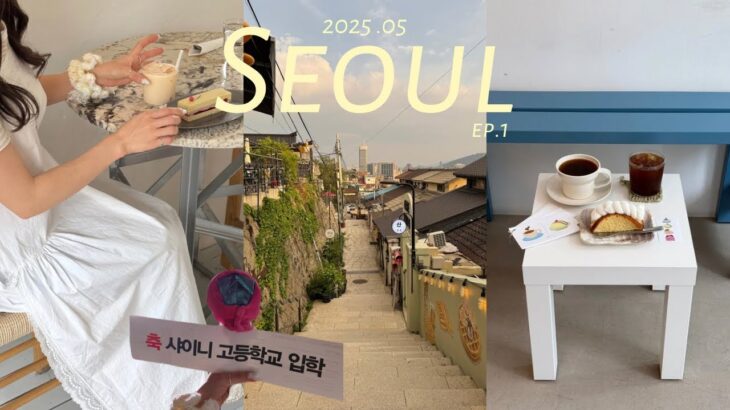 日/한)2025.5月韓国旅行vlog｜景色のいい東大門のカフェや弘大エリアの雑貨屋さんを巡る旅🩰美味しいマッグクスに出会う｜1年振りにSHINeeに会った記録