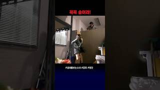 [BGM] 꼭꼭 숨어라!! #냄새를보는소녀