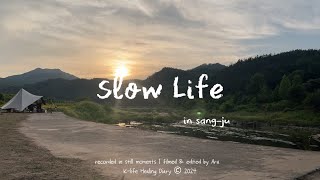 [vlog]会社員のヒーリング韓国旅行🌿韓国ローカルで過ごす1泊2日(韓国市場、ツイストドーナツ、韓国料理、夕焼け)#韓国旅行vlog