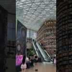 韓国 2 #韓国 #韓国旅行 #旅行 #海外 #海外旅行 #shorts #shortvideo #korea #travel #vlog #図書館 #library #코엑스몰 #도서관 #韓国料理