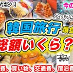 【韓国旅行の費用はいくら？】2泊3日韓国旅行の費用大公開‼️ソウルのおすすめスポット巡り＋韓国グルメ爆食の旅｜今のソンス、高速バスターミナル、明洞、狎鴎亭、江南、広蔵市場｜ホルモン、カムジャタン