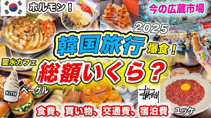【韓国旅行の費用はいくら？】2泊3日韓国旅行の費用大公開‼️ソウルのおすすめスポット巡り＋韓国グルメ爆食の旅｜今のソンス、高速バスターミナル、明洞、狎鴎亭、江南、広蔵市場｜ホルモン、カムジャタン