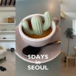 SEOUL）韓国旅行vlog：4泊5日でカフェ/ショッピング/グルメ/ヘッドスパを満喫