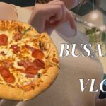 【VLOG】일본인의 부산여행🐠🍕/釜山旅行part2/韓国水族館/2時間半待ちピザ🍕