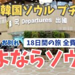 【韓国旅行Vlog】さよならソウル！18日間ソウルプチ移住、全費用公開！延南洞のイタリアンでお別れパーティー！