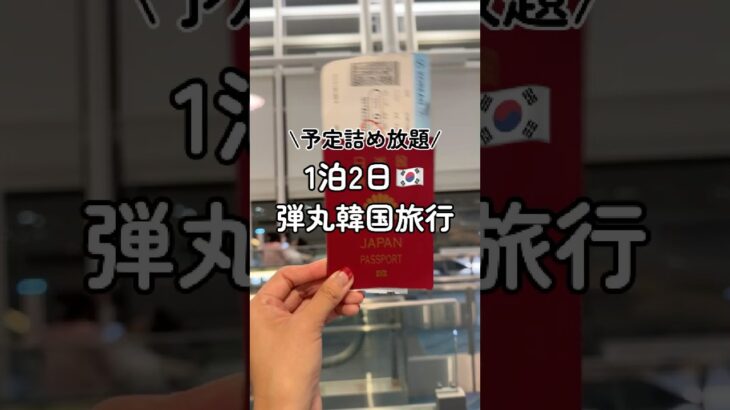 韓国一泊二日旅行は予定詰めまくりで参考になるか分からない‥ #韓国旅行 #韓国 #旅vlog #旅行 #旅行vlog #vlog #vlogs
