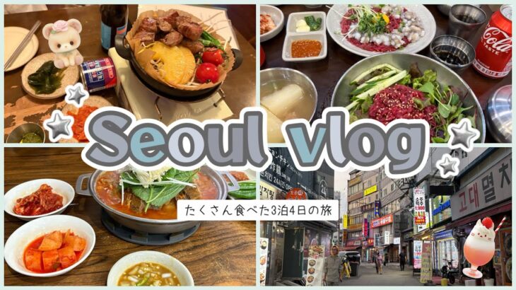 【vlog】3泊4日初めての韓国旅行🇰🇷たくさん食べて幸せ旅🍽️✈️