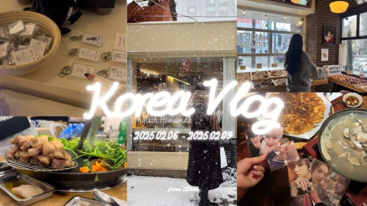［Korea Vlog］母と初めての韓国旅行🇰🇷🎞🍀♡ 弘大/聖水/狎鴎亭/サムギョプサル/ナッコプセ/渡韓/먹2유/アーティストベーカリー