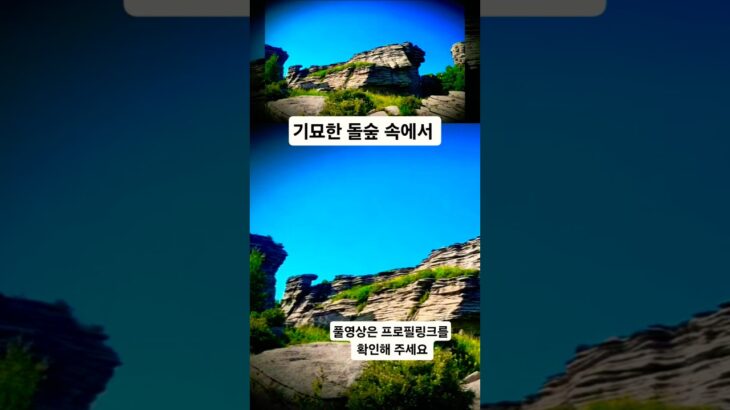 시간여행 시리즈 ❤️ 😎 👀 내몽골 여행 브이로그 ❤️🧡💛 아스하투석림 #대한민국여행 #원삿갓 #계절여행 #시간여행 #공간여행 #내얘길들어봐 #짤 #내몽골 #Shorts