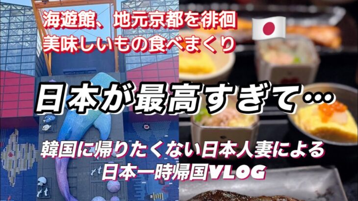 【日本一時帰国vlog🇯🇵】日本が最高すぎて韓国に帰りたくない日本人妻【韓国在住日本人】